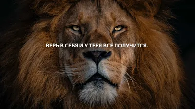 Дизайнерская открытка "Пусть удача будет с тобой"/"Все получится" + крафт  конверт (10х15) – купить по цене 150 руб. | АртБукет