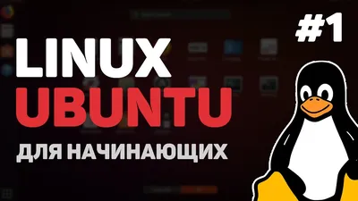 Дистрибутивы Linux для новичков в 2021 году / Sandbox / Habr