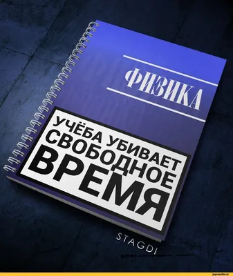 Тема «не учеба» — Новости — Студенческий совет НИУ ВШЭ — Национальный  исследовательский университет «Высшая школа экономики»