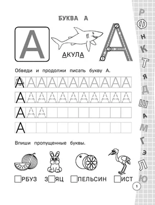 Тетрадь рабочая «Учим буквы. 5-6 лет», Крупенчук О. И. - купить в Москве  оптом и в розницу в интернет-магазине Deloks