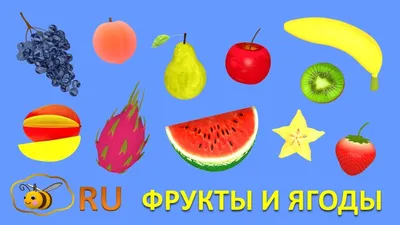 Овощи фрукты ягоды для детей | Russian lessons, Russian language lessons,  Russian language