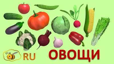 Легко учим овощи, фрукты и ягоды | Детская библиотека | Дзен