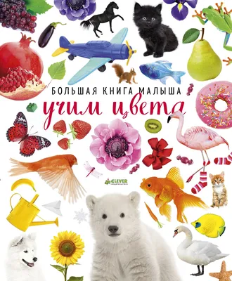 Учим цвета в стихах » КГУ "Специальный (коррекционный) ясли сад №123 для  детей с нарушениями опорно-двигательного аппарата и зрения"