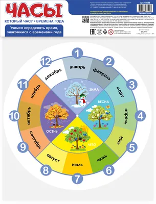 Игра развивающая «Часы. Который час. Времена года»