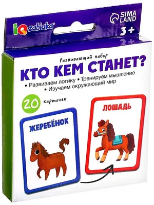 Рамки вкладыши "Учим животных" (набор из 2-х штук) 143-112 в Москве |  