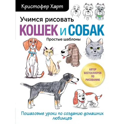 Книга Харвест Большой самоучитель рисования. Учимся рисовать купить по цене  930 ₽ в интернет-магазине Детский мир