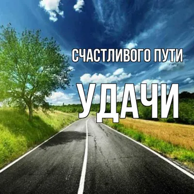 Термокружка, серия: Автомобильная, "Удачи на дороге", 450 мл, сохраняет  тепло 4 ч, 12 х 17см (7054774) - Купить по цене от  руб. | Интернет  магазин 