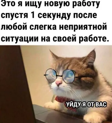 Автономное учреждение «Физкультурно-спортивный комплекс «Восток» » Новости  » Поздравляем директора Артомонова Дмитрия Германовича с Днем рождения