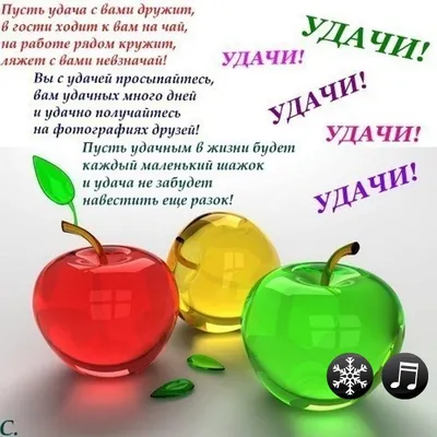 Поздравления с выходом на работу - после отпуска и на новую работу — УНИАН