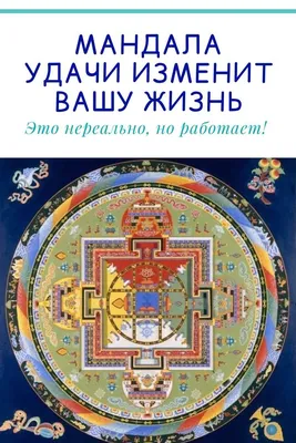 Хвосты удачи. Истории из жизни ветеринарного врача (Ольга Шильцова) -  купить книгу с доставкой в интернет-магазине «Читай-город». ISBN:  978-5-17-137916-2