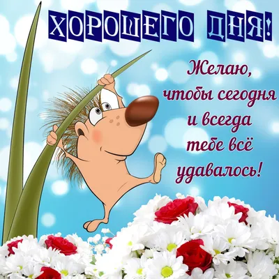 Желаю :чудесного утра,хорошего настроения,прекрасной погоды,удачи,везения,  мира и добра! | Plants, Garden