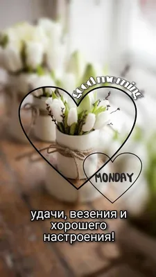 Доброе утро. Понедельник. | Good morning, Plants, Garden