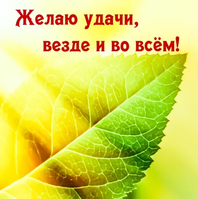 Обои надпись, клевер, удачи, Good Luck картинки на рабочий стол, раздел  минимализм - скачать