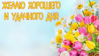 Картинки "Доброго, хорошего дня!" для мужчины (150 шт.)