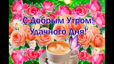 💗 Результаты поиска: удачного дня! Страничка 1! Картинки и открытки,  анимашки, гифки, гиф, gif!