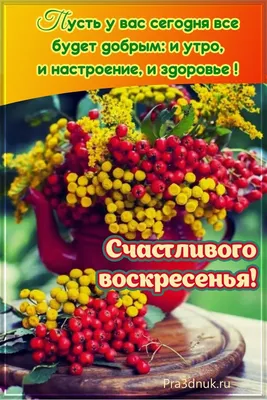 Хорошего воскресенья - Праздники сегодня | Воскресенье, Счастливое  воскресенье, Праздник