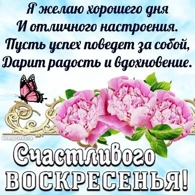 Доброе утро, моя любимая! Желаю тебе счастливого воскресенья!» — создано в  Шедевруме