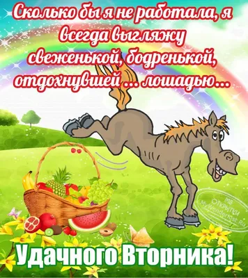 Доброе утро! Удачного Вторника! | Доброе утро, Осенние картинки,  Поздравительные открытки