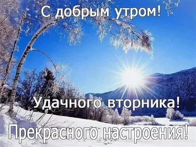 Доброго вторника, друзья!... | пожелания, Новости Казахстана - свежие  новости РК КЗ на сегодня | 