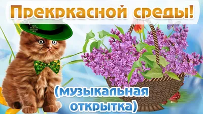 Открытки яркие и веселые открытки с пожеланиями замечательной среды...