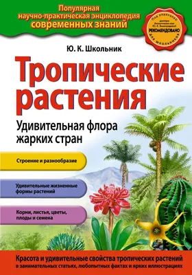 удивительная красота цветка ириса в саду Стоковое Фото - изображение  насчитывающей радужка, цветок: 220764118