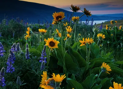 Удивительная красота природы 🥹 | Instagram