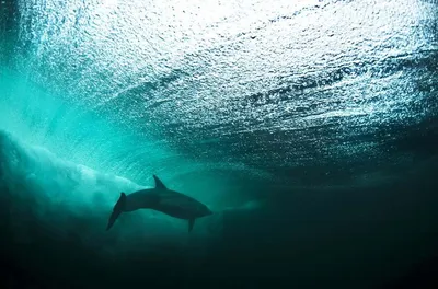 Удивительная красота воды» — создано в Шедевруме