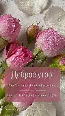 Картинки "С Добрым Утром и Хорошего Дня!" (256 шт.)