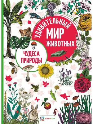 ЧУДЕСА ПРИРОДЫ. Удивительный мир животных для детей Хоббитека 8500632  купить за 280 ₽ в интернет-магазине Wildberries