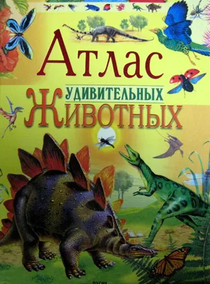 5 удивительных животных, которых ученые открыли совсем недавно