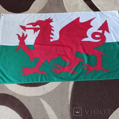 Cymru Am Byth, 100% Cotton T-shirt, Red Dragon, Flag Of Wales, Welsh Pride  | eBay