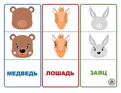 Настольная игра для детей "Угадай животное: силуэты и части тела" Vladi  Toys VT2100-10, Toyman (ID#1649864977), цена: 353 ₴, купить на 