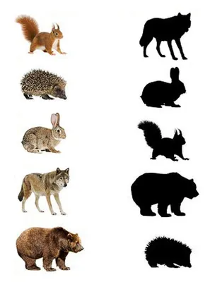 Развивающая игра «Угадай животное» – распечатать PDF