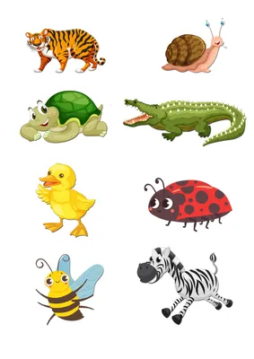 Приложения в Google Play – Угадай животных по фрагментам