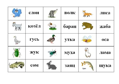 Тест: Угадай домашние животное по фотографии - пройти тест онлайн - игра -  вопросы с ответами - скачать бесплатно