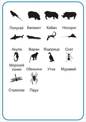 Угадай животное на картинке - пройди тест онлайн