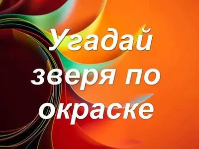 Животное на картинке вы увидели первой? Тест поможет вам узнать о себе  что-то новое | Психология+Тесты | Дзен