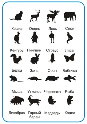 Развивающая игра «Угадай животное» – распечатать PDF