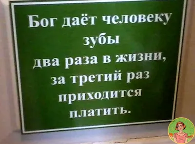 Прикольные картинки с надписями и в чем подвох | Mixnews