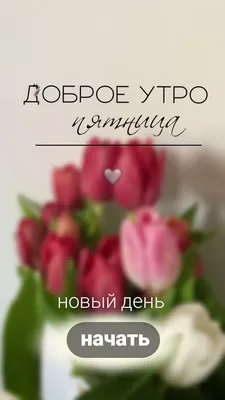 Утро пятницы [39 картинок]