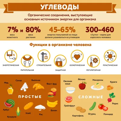 Углеводы — простые и сложные углеводы — продукты источники углеводов