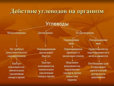 Превращаются ли углеводы в жир? | Пикабу