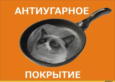 Grumpy Cat" Угрюмый кот породы …» — создано в Шедевруме