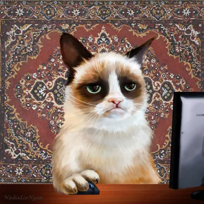 Умерла "сердитая кошка" Grumpy Cat - РИА Новости, 