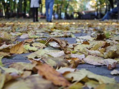 Осень. Красивая и уютная осень 🍁🍁🍁 | Дом мечты❤ | Дзен