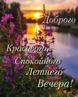 Доброго летнего вечера! 🌹❤️🌼 | Ночь, Летний вечер, Открытки