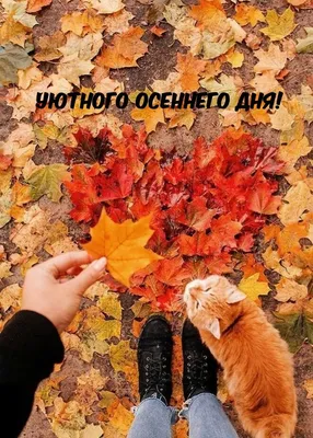 УЮТНЫЕ ОСЕННИЕ ЛОКАЦИИ 🍁 — Даришка Новогодняя на 