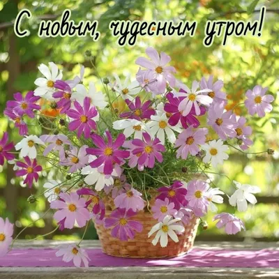 С добрым утром!: erofotos — LiveJournal