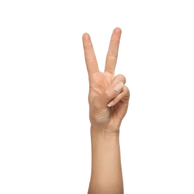 Мультфильм человек рука палец вверх жест 3D Модель $19 - .3ds .blend .c4d  .fbx .ma .obj .max .usdz .unitypackage .upk .gltf - Free3D