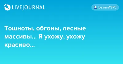 Ухожу красиво (2023) - Выжить любой ценой - кадры из фильма - российские  фильмы и сериалы - Кино-Театр.Ру